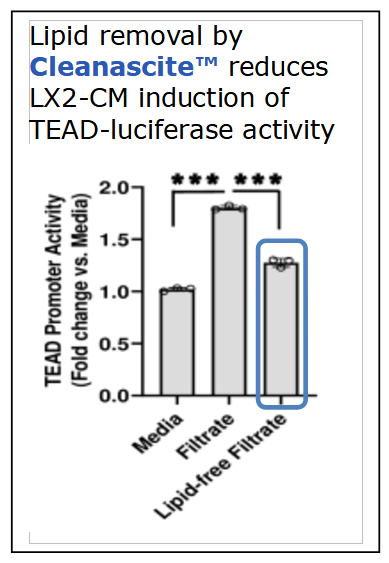 Cleanascite™ Employed To Investigate Lipid Pathway Influences on Hepatocellular Carcinoma
